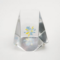 Kite Lucite Embedment / Award